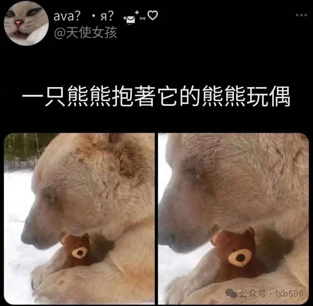 Word文档图片