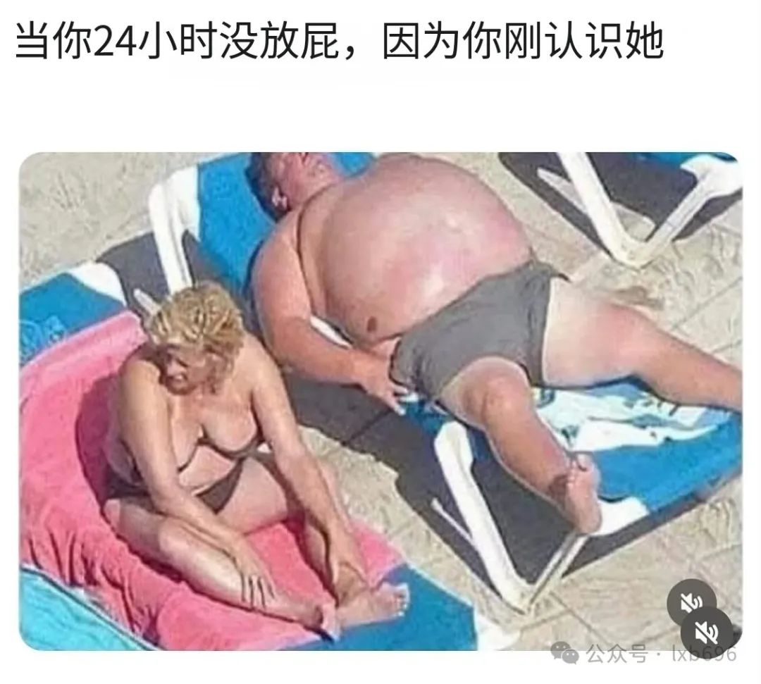 Word文档图片