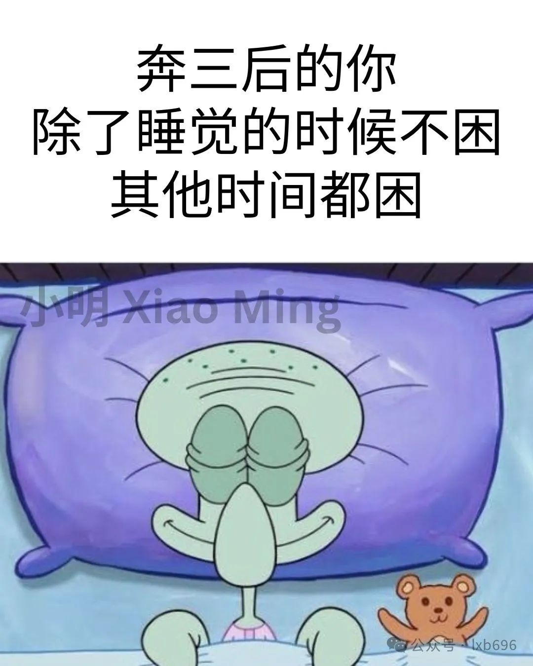 Word文档图片