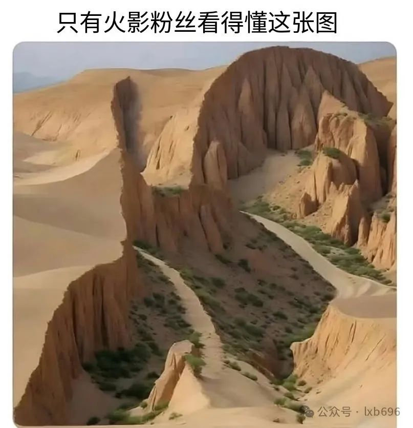 Word文档图片