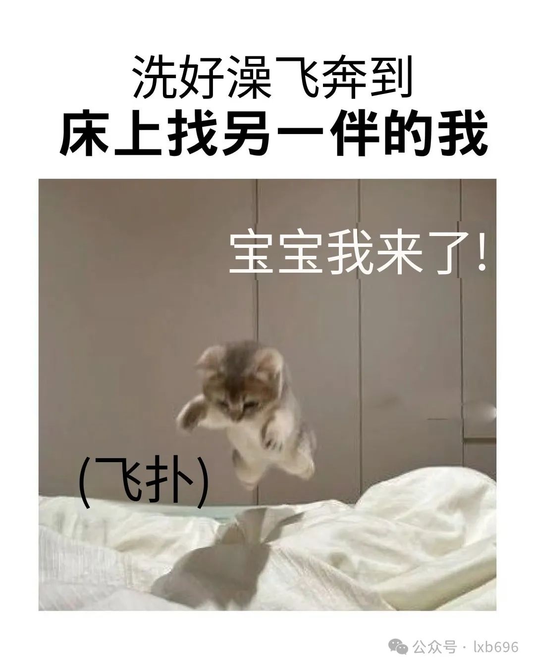 Word文档图片