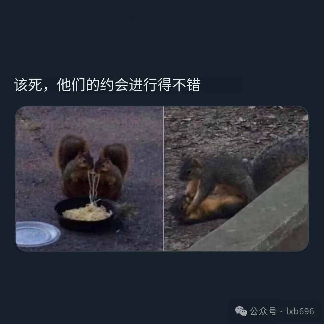 Word文档图片