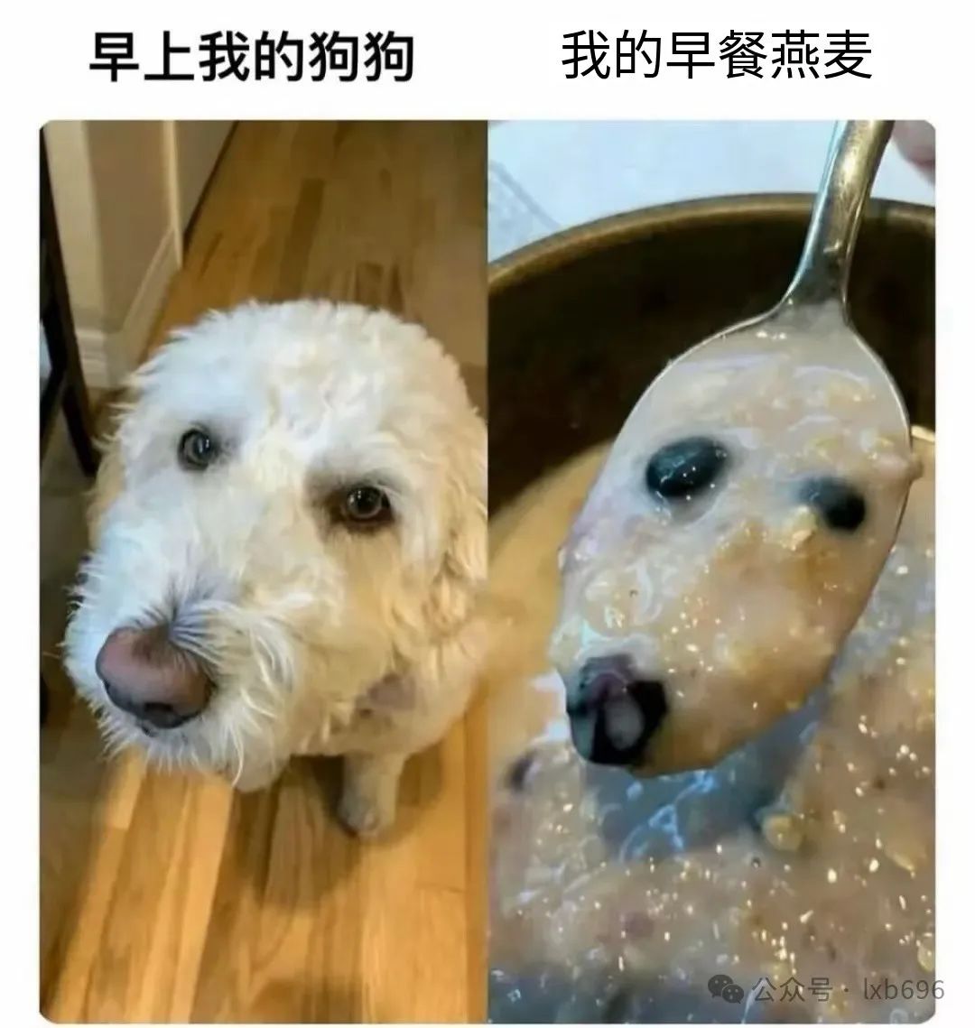Word文档图片
