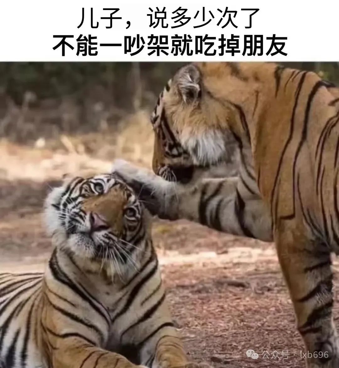 Word文档图片