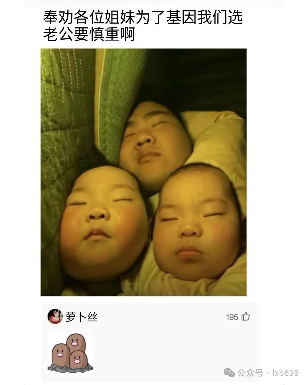 Word文档图片