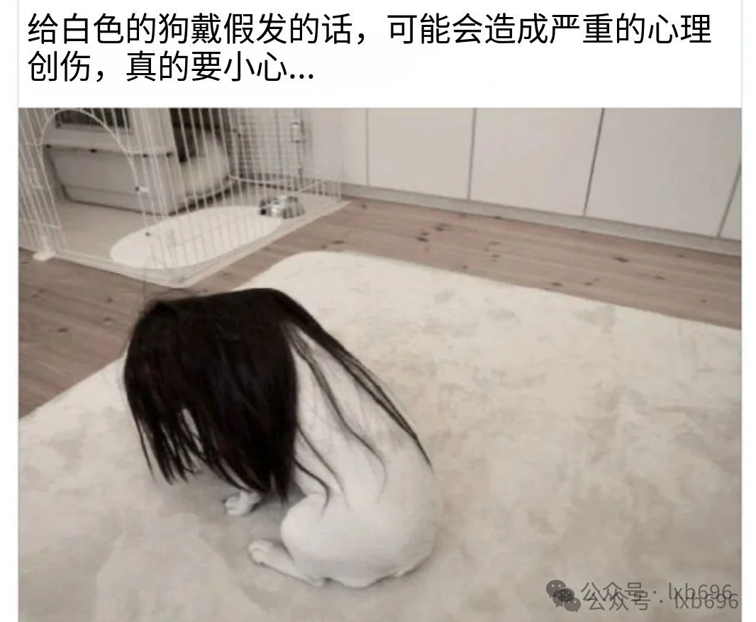 Word文档图片