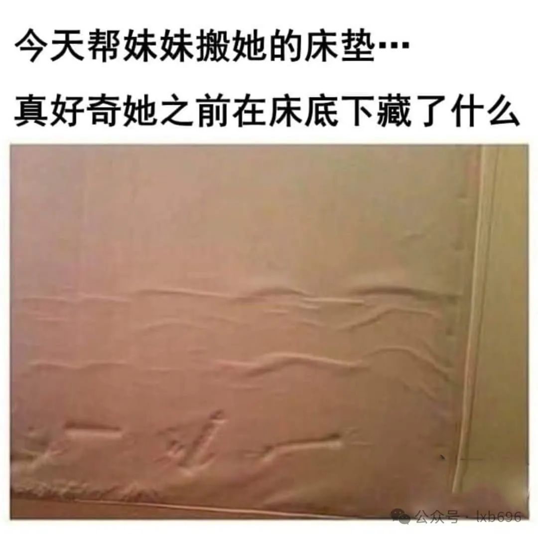 Word文档图片
