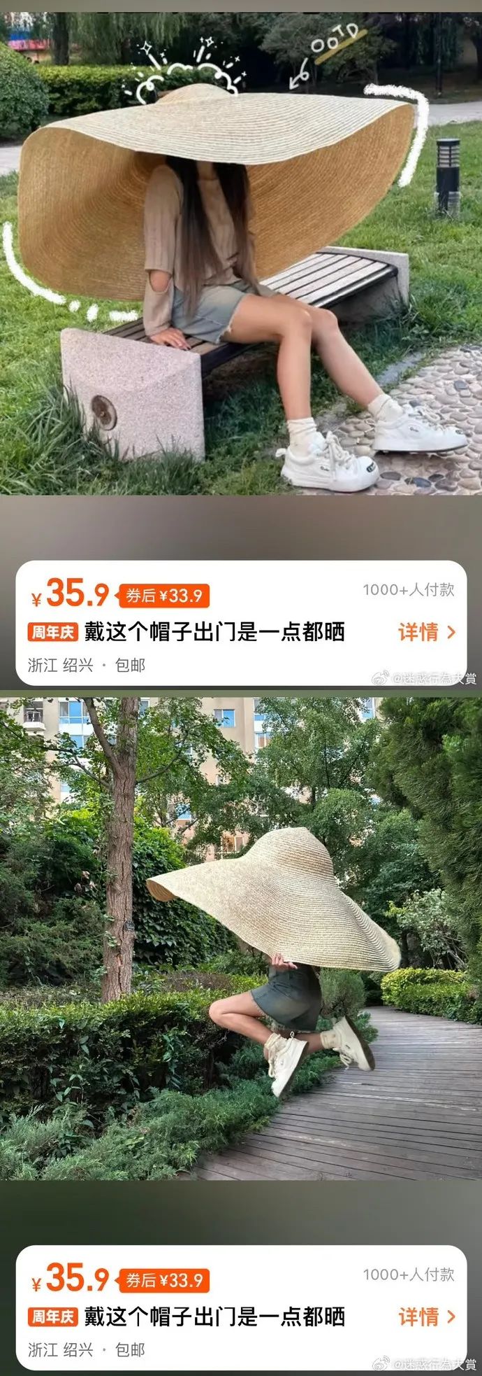 Word文档图片