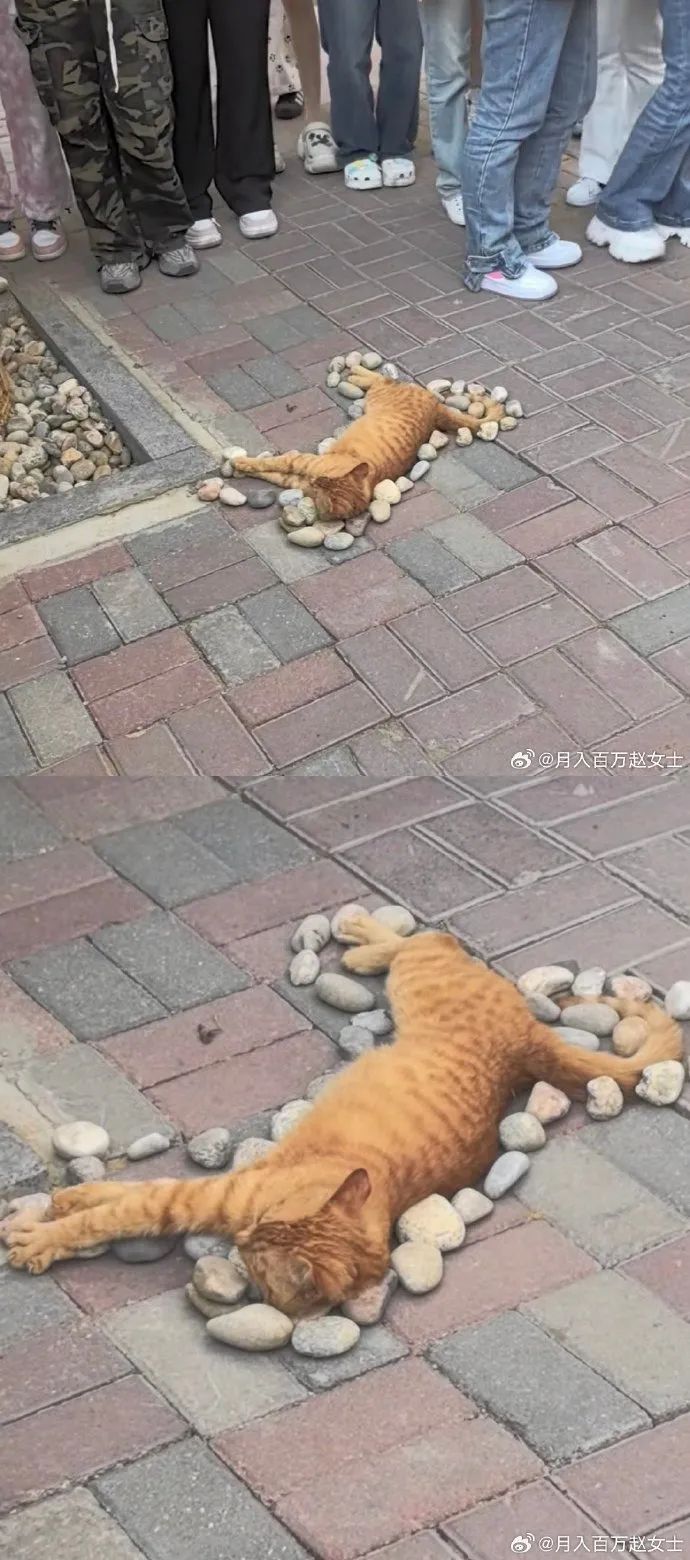 Word文档图片