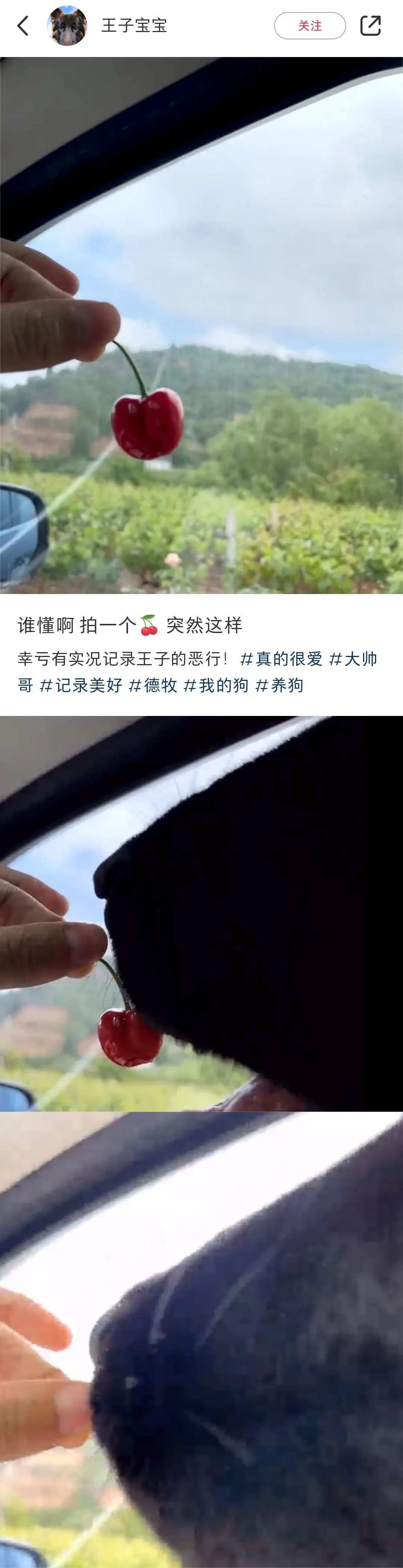 Word文档图片