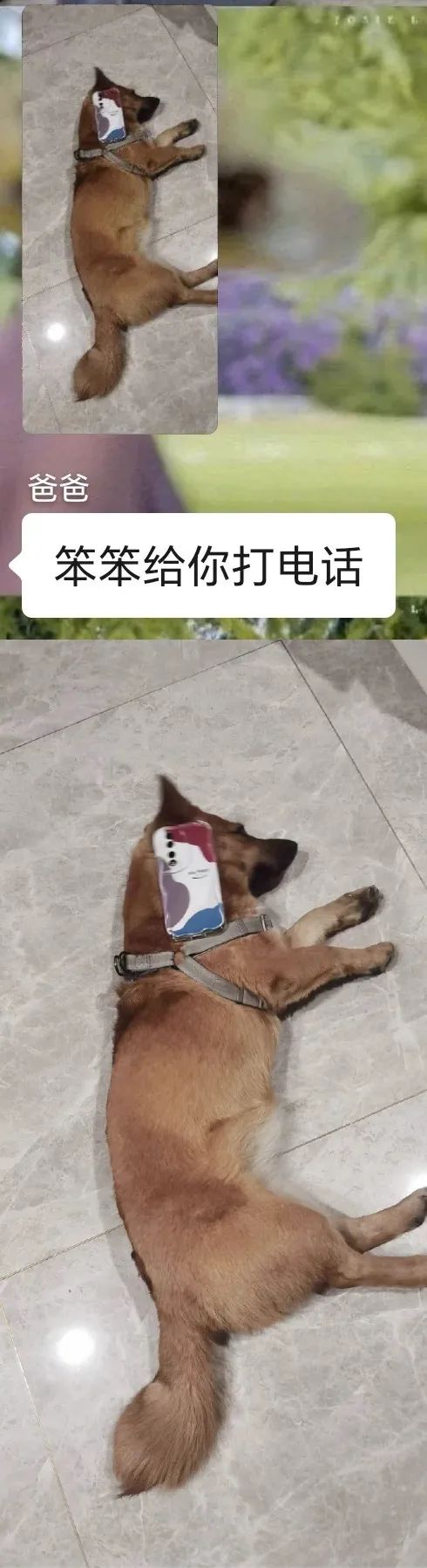 Word文档图片