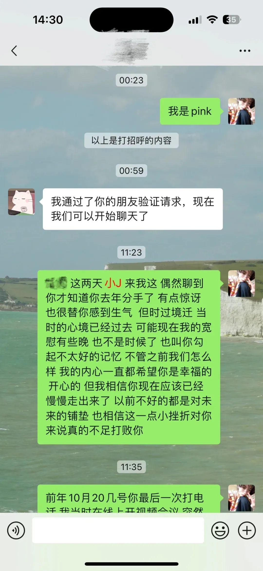 Word文档图片