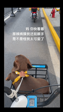 Word文档图片