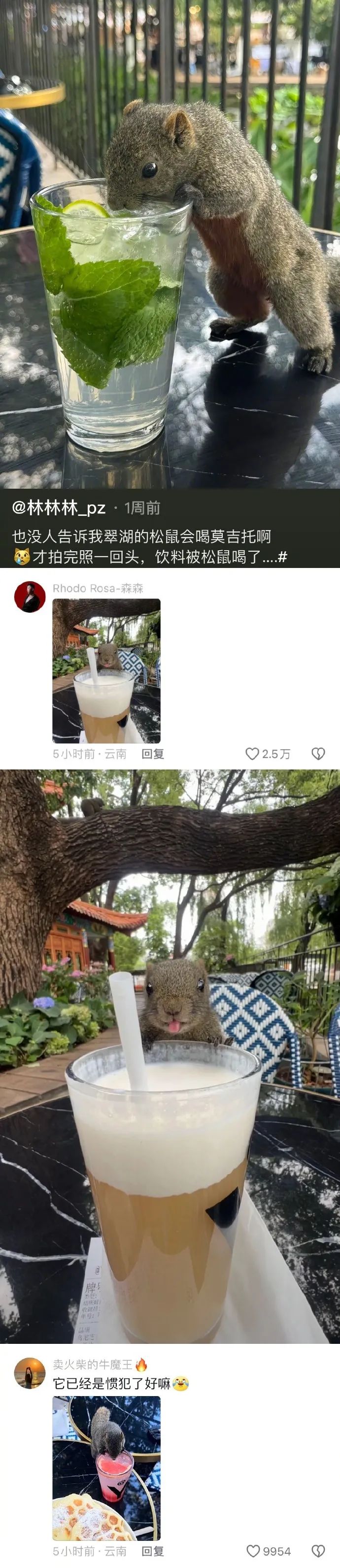 Word文档图片