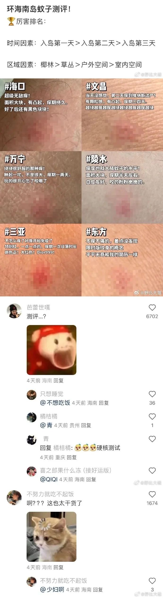 Word文档图片