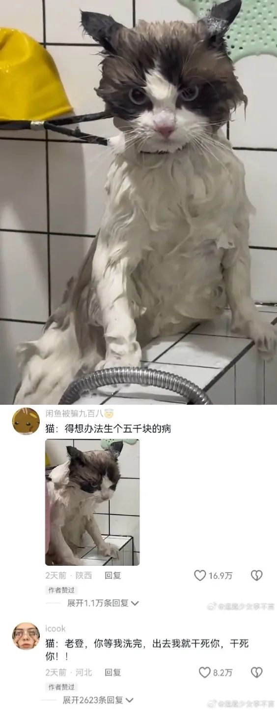 Word文档图片
